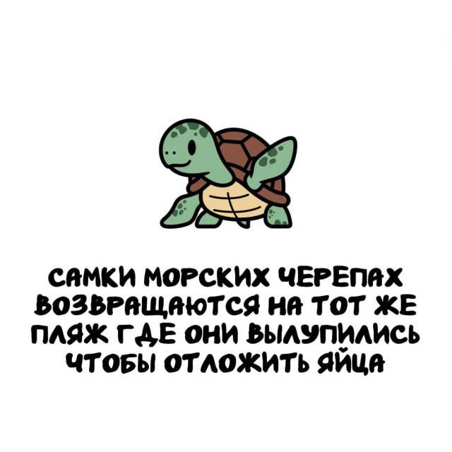 Интересные факты на все случаи жизни