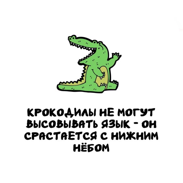 Интересные факты на все случаи жизни