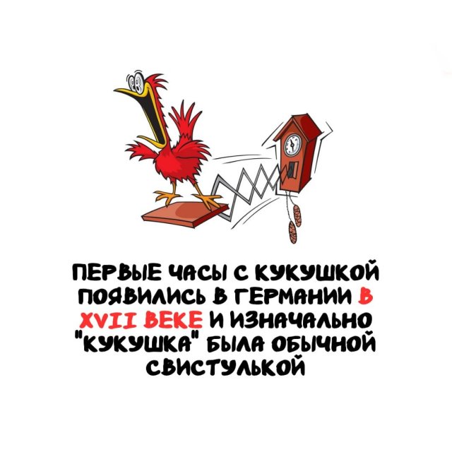 Интересные факты на все случаи жизни