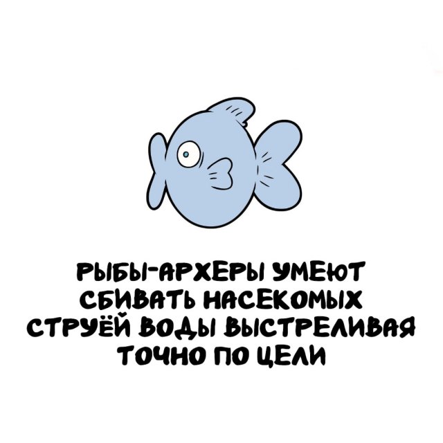 Интересные факты на все случаи жизни