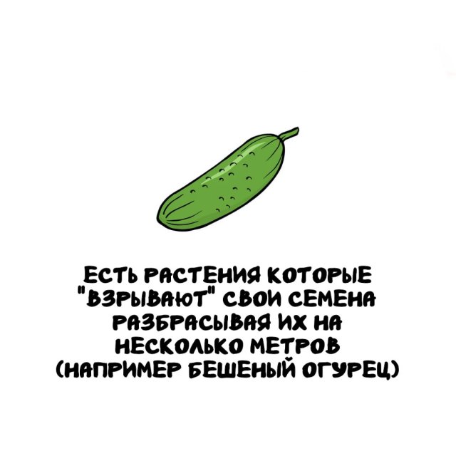 Интересные факты на все случаи жизни