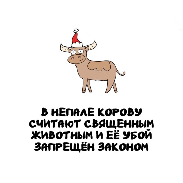 Интересные факты на все случаи жизни