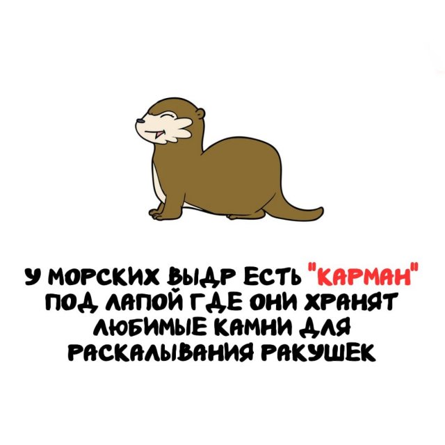 Интересные факты на все случаи жизни