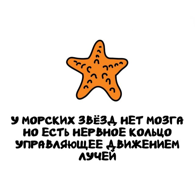 Интересные факты на все случаи жизни