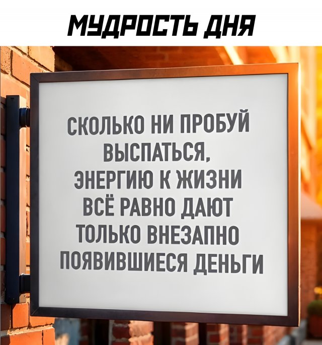 Подборка картинок. Вечерний выпуск - 24.09.2025
