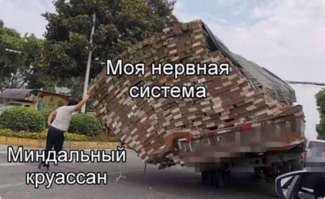 Лучшие шутки и мемы из Сети - 24.09.2025