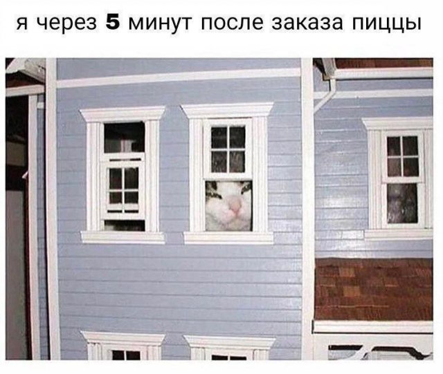 Лучшие шутки и мемы из Сети - 24.09.2025