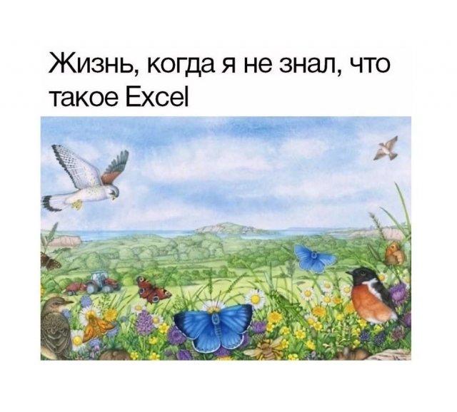 Лучшие шутки и мемы из Сети - 24.09.2025
