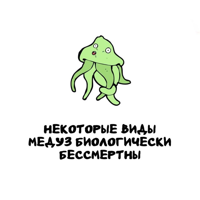 Интересные факты на все случаи жизни