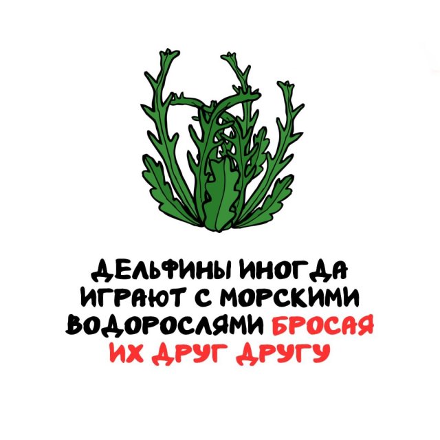 Интересные факты на все случаи жизни
