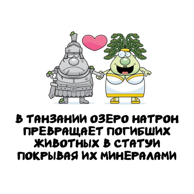 Интересные факты на все случаи жизни