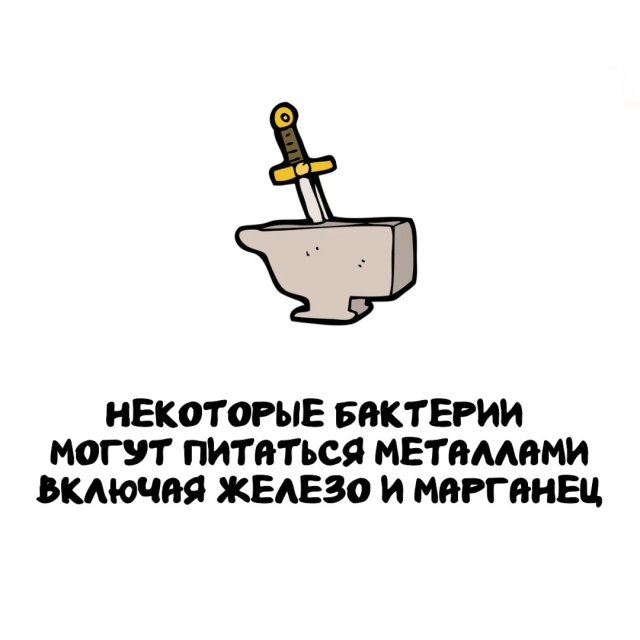 Интересные факты на все случаи жизни