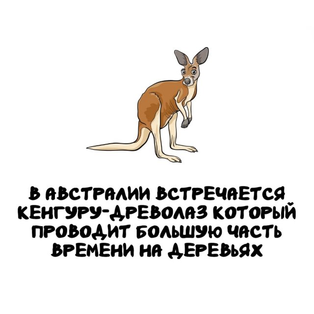Интересные факты на все случаи жизни