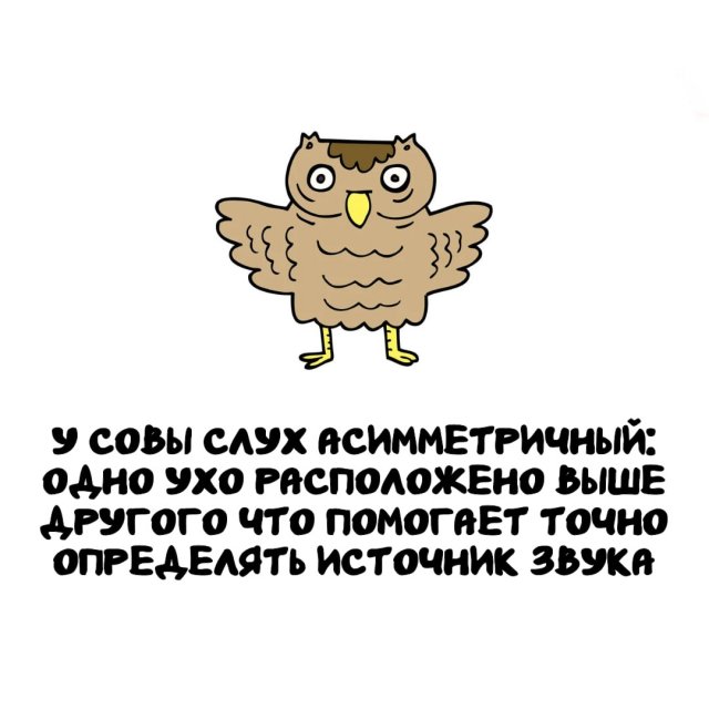 Интересные факты на все случаи жизни