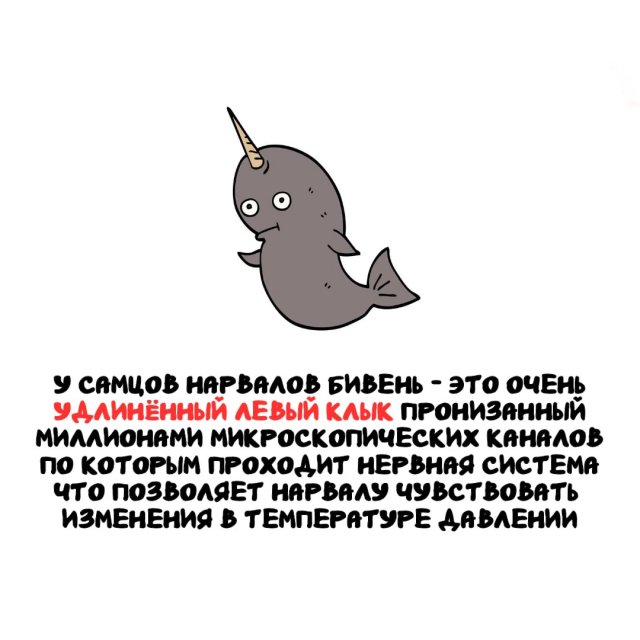 Интересные факты на все случаи жизни