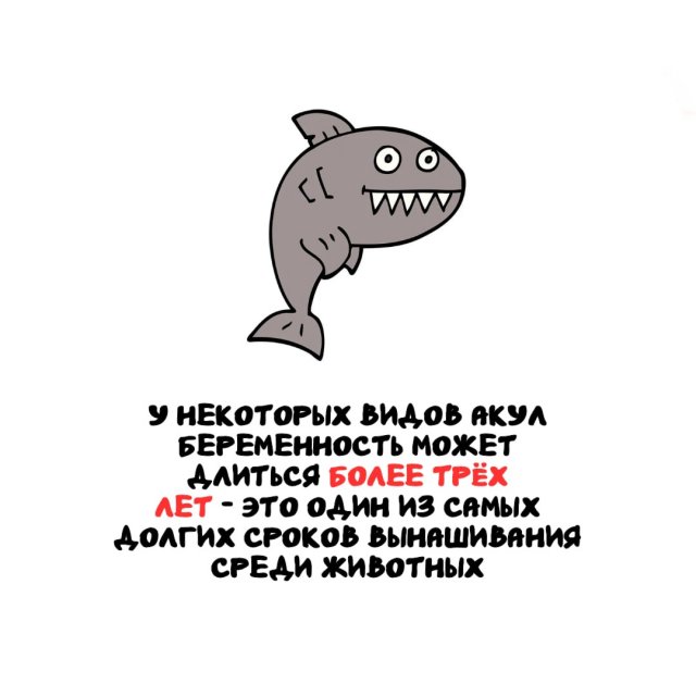 Интересные факты на все случаи жизни