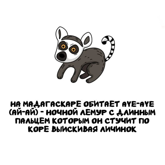 Интересные факты на все случаи жизни