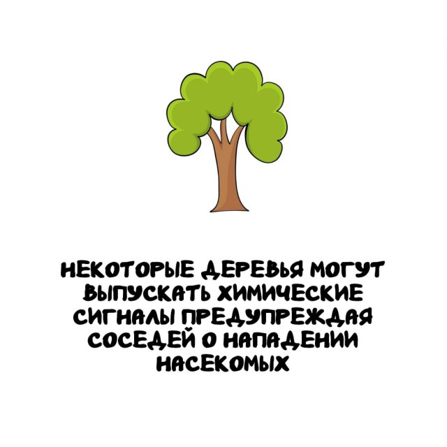 Интересные факты на все случаи жизни