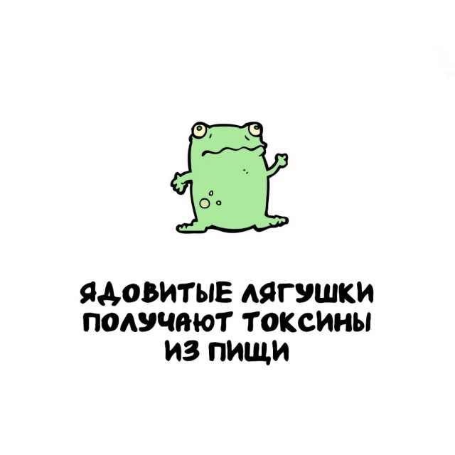 Интересные факты на все случаи жизни