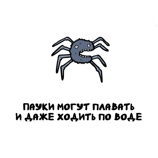 Интересные факты на все случаи жизни