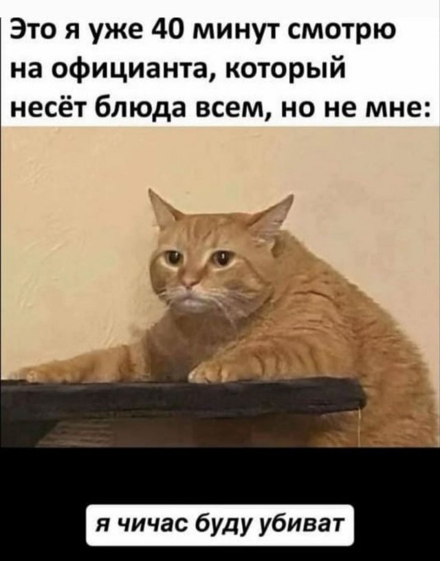 Лучшие картинки и мемы из Сети - 25.09.2025