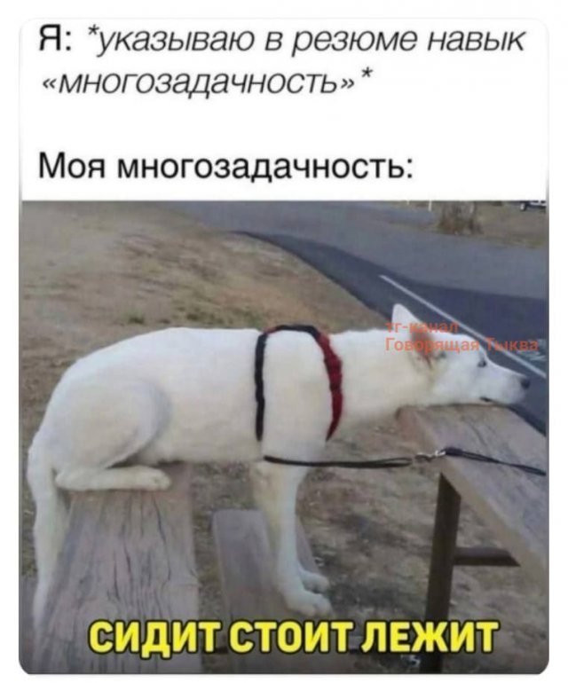 Лучшие картинки и мемы из Сети - 25.09.2025