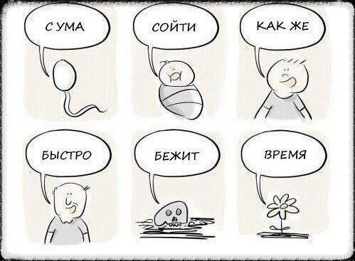 Картинки со смыслом - 26.09.2025