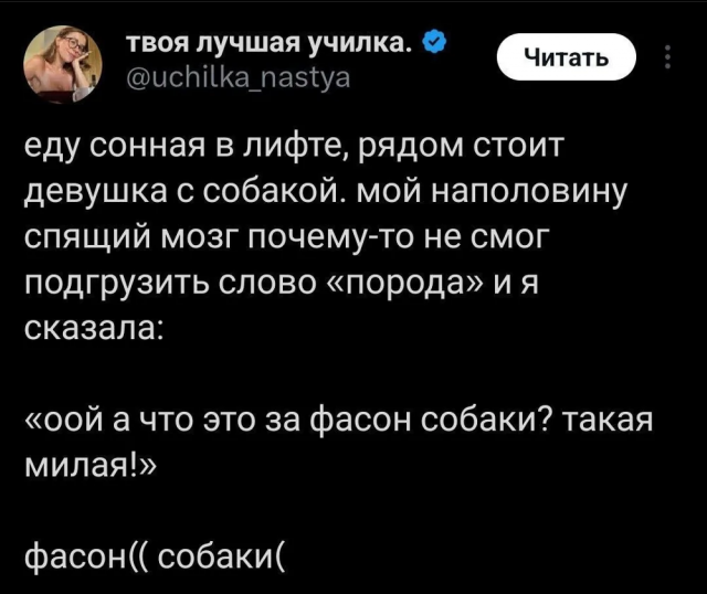 Подборка забавных каламбуров и лингвистических приколов с просторов соцсетей