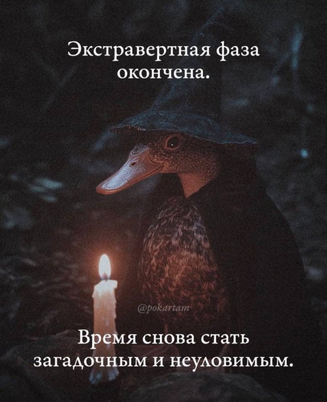 Лучшие шутки и мемы из Сети - 26.09.2025