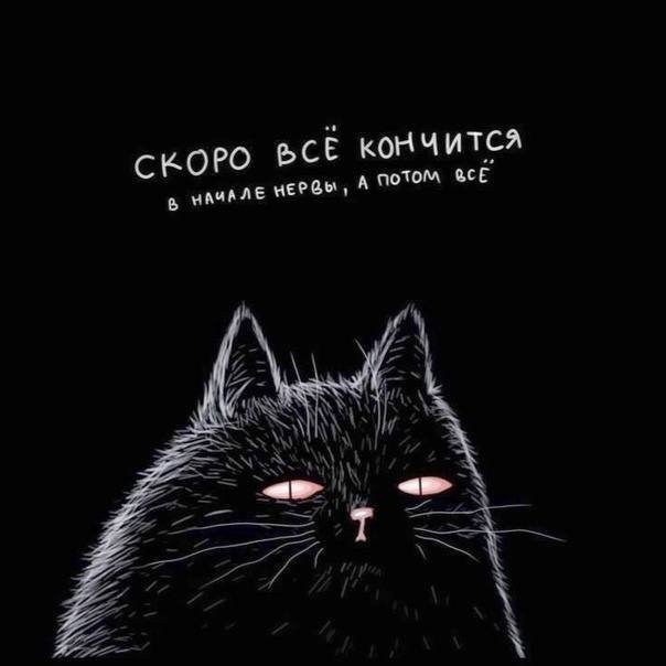 Лучшие шутки и мемы из Сети - 26.09.2025