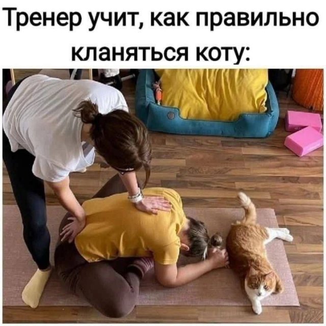 Лучшие шутки и мемы из Сети - 26.09.2025