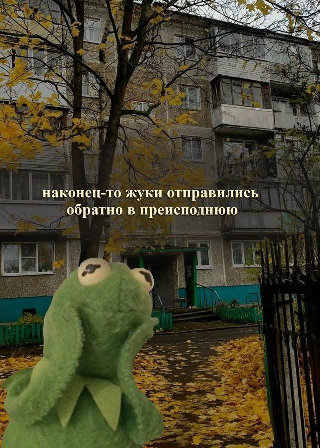 Лучшие шутки и мемы из Сети - 26.09.2025