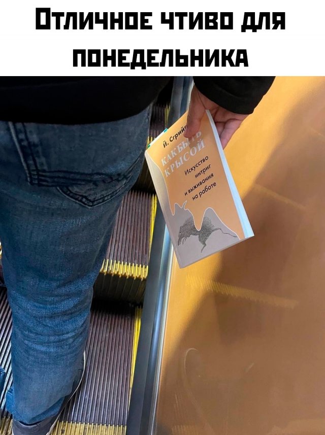 Подборка картинок. Вечерний выпуск - 29.09.2025