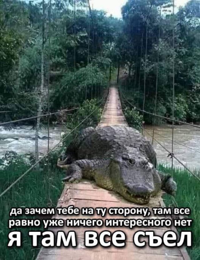 Лучшие шутки и мемы из Сети - 29.09.2025