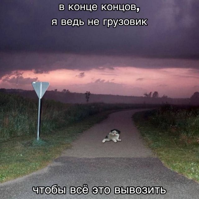 Лучшие шутки и мемы из Сети - 29.09.2025