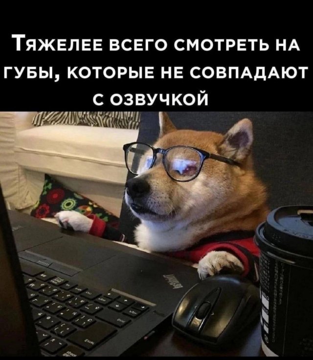 Смешные мемы - 30.09.2025