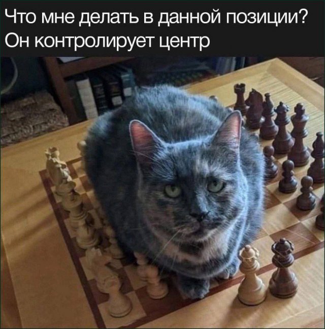 Смешные мемы - 30.09.2025