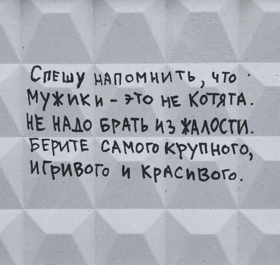 Смешные мемы - 30.09.2025