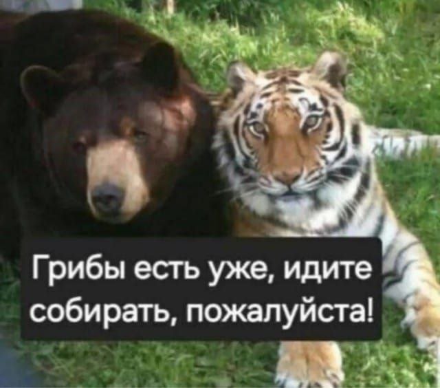 Лучшие шутки и мемы из Сети - 30.09.2025