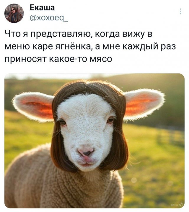 Подборка забавных твитов обо всем