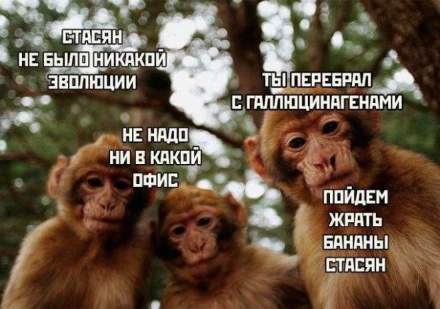 Смешные мемы - 01.10.2025