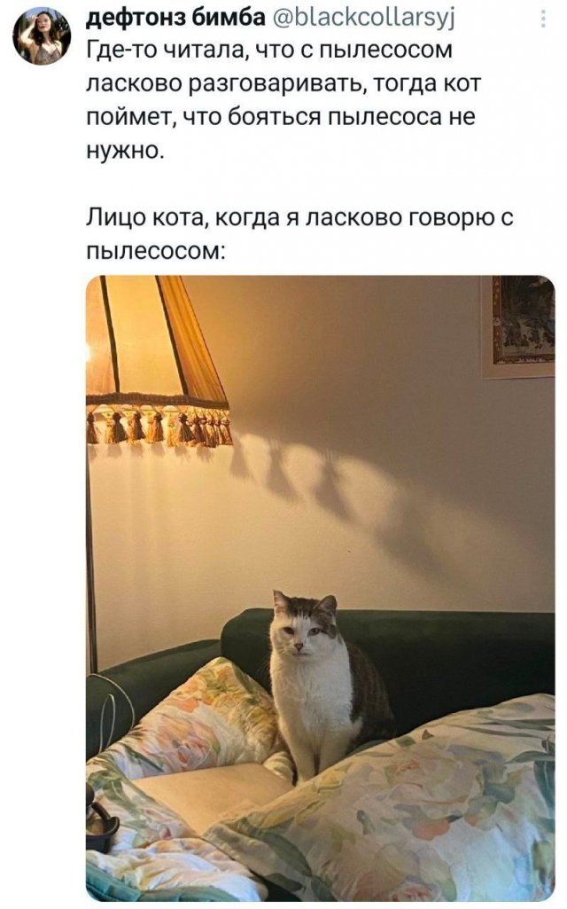 Подборка забавных твитов обо всем