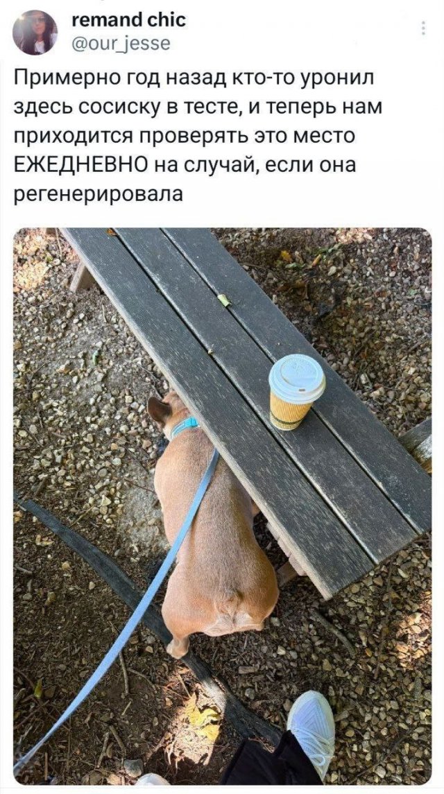 Подборка забавных твитов обо всем