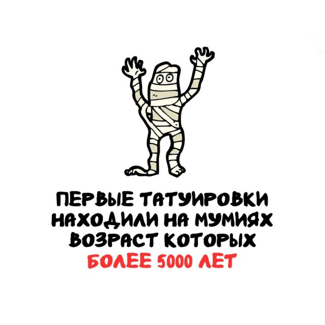 Интересные факты на все случаи жизни