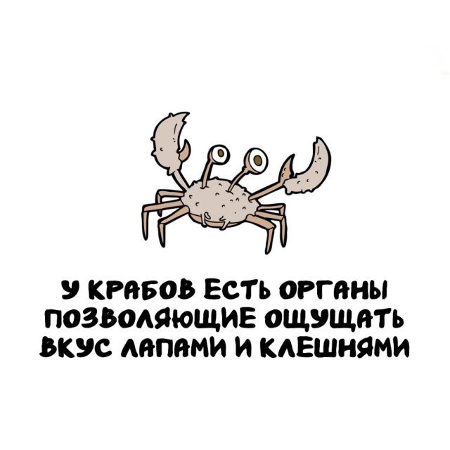 Интересные факты на все случаи жизни