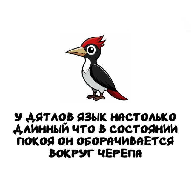 Интересные факты на все случаи жизни
