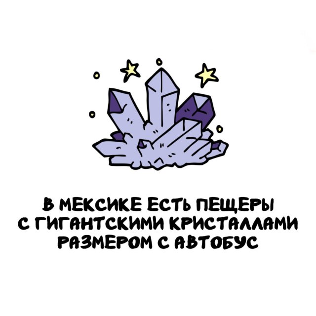 Интересные факты на все случаи жизни