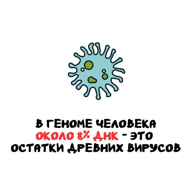 Интересные факты на все случаи жизни