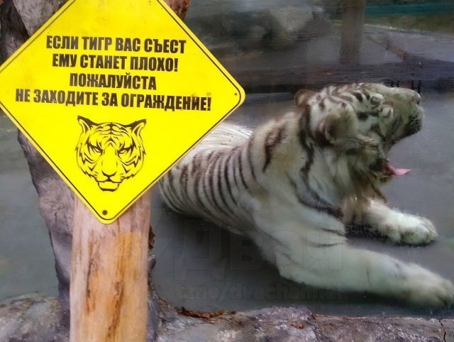 Смешные и доходчивые предупреждения в зоопарке
