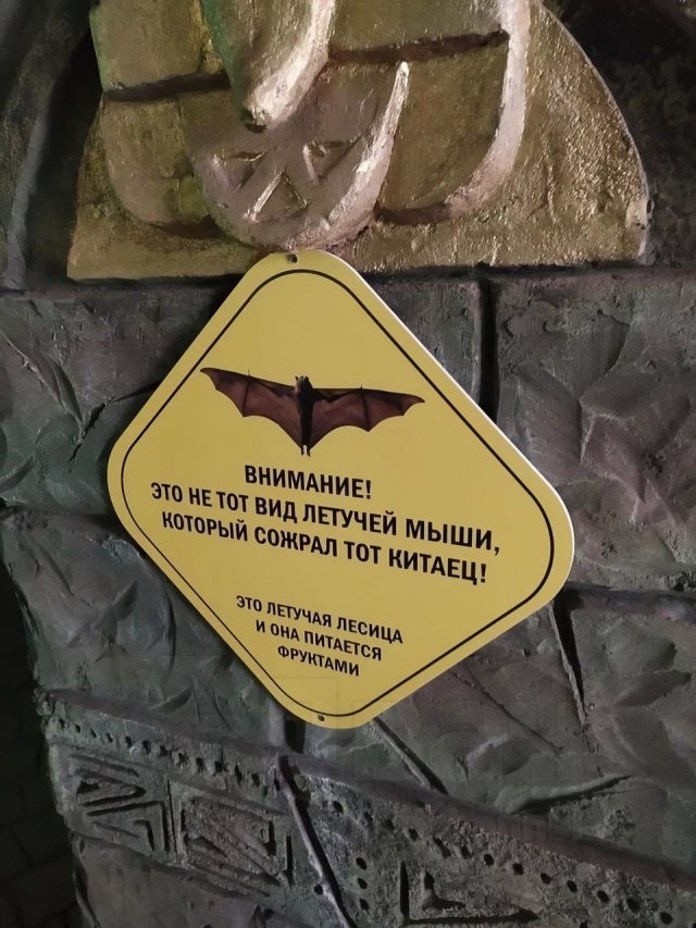 Смешные и доходчивые предупреждения в зоопарке